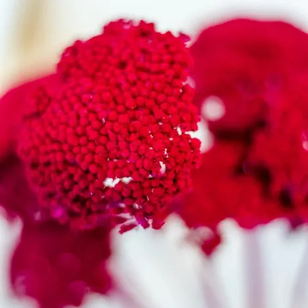 Bbq Terrace Balaton 2br By Nw バラトンサールソー