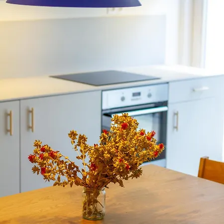 アパート Bbq Terrace Balaton 2br By Nw バラトンサールソー